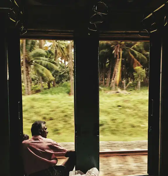 Picture of a man looking outside a train through the forest